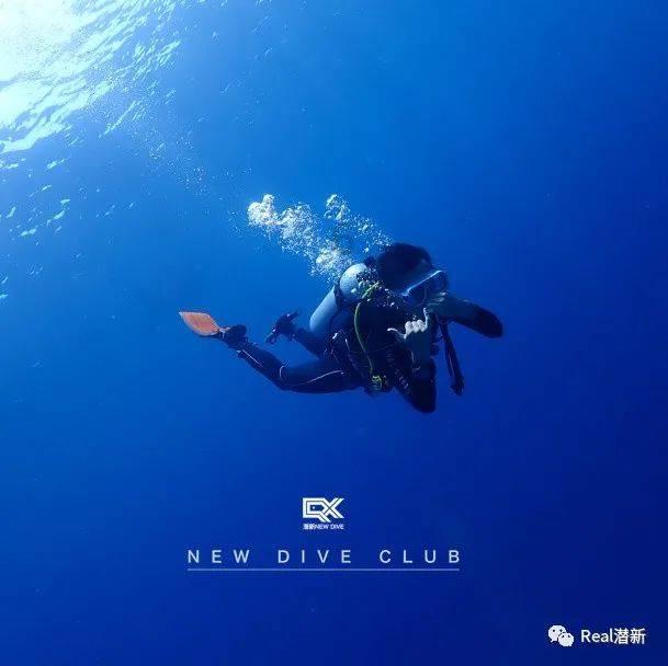 履职一年间│省政协民族和宗教委员会:广泛凝聚共识力量 推动民族宗教工作高质量发展