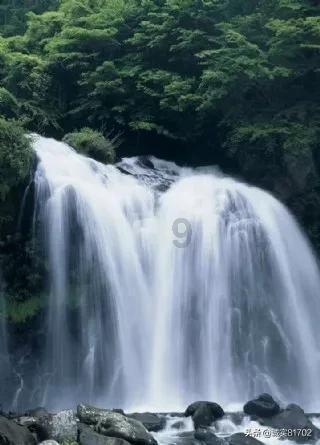 临沭县市场监管局 开展“护民生、防欺诈”宣传活动