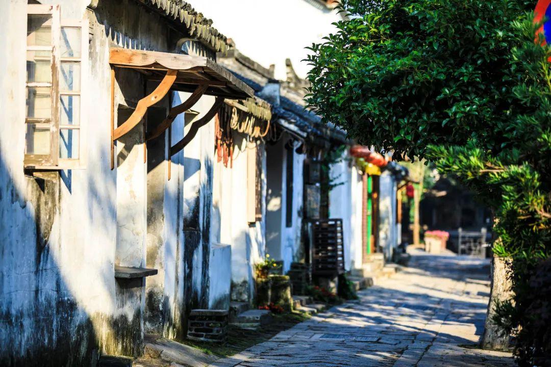 “整车智能”AI战略官宣!比亚迪王传福与马斯克有何不同?
